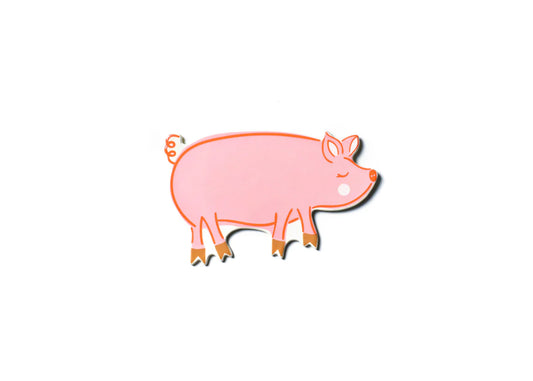 Attachment Mini Pig