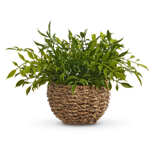 12" Soft Touch Potted House Plant